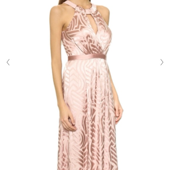 Shoshanna | NWT Blush Gown - Picture 1 of 13